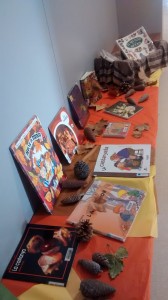 IMG_20151009_174436359