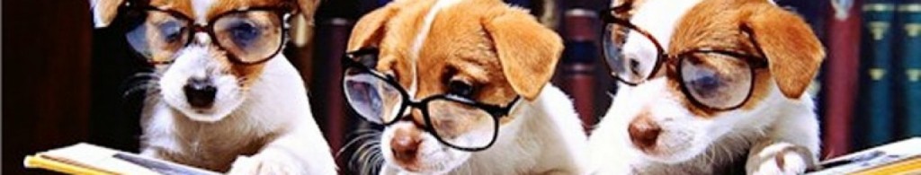 copy-cropped-cropped-dogs-reading