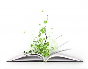 magic book