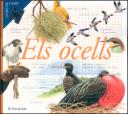 ocells