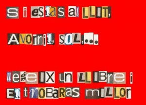 imagen11