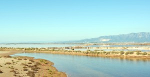 salines-4