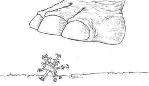 dispersio-de-fruits2