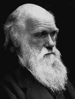 foto_darwin