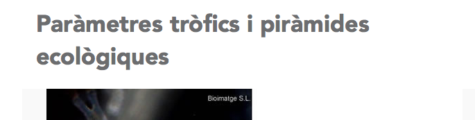 captura-de-pantalla-2017-03-19-a-les-22-59-59