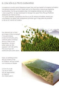 comparacio
