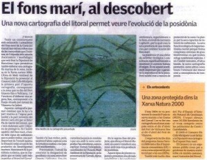 noticia1