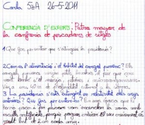 pregunta-experts-6