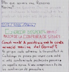 preguntes-expert-3