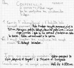 preguntes-expert-4