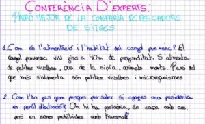 preguntes-expert-5