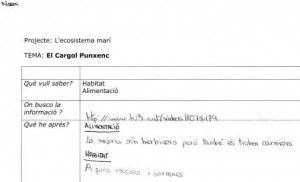 webs-plantilla
