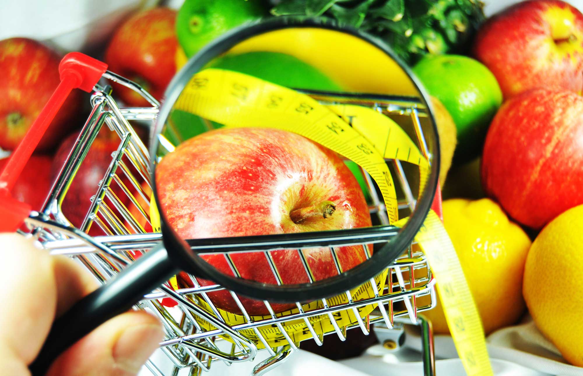 Ortorexia nervosa — ANDREIA TORRES