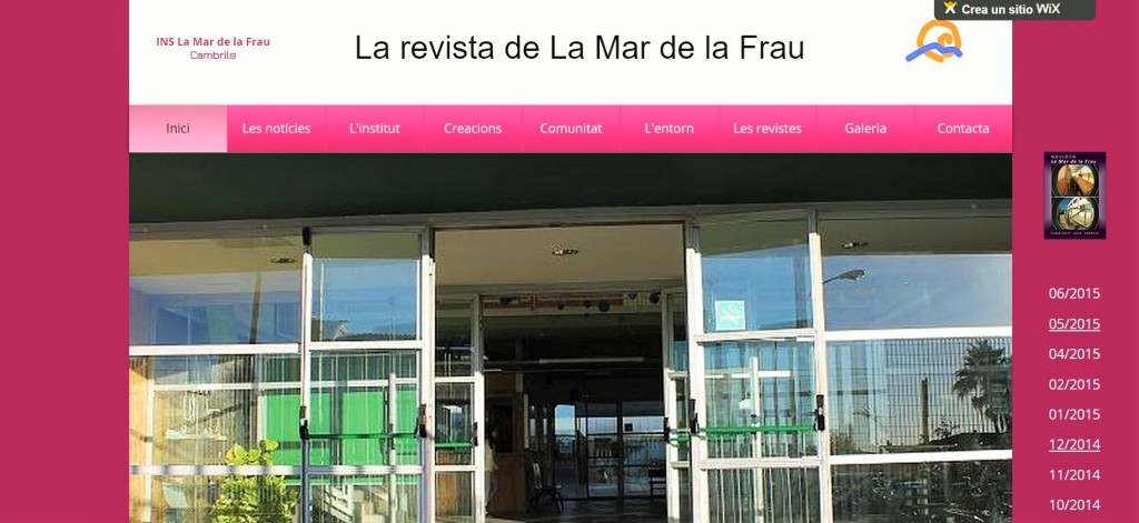 revista