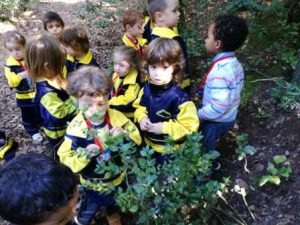 Cliqueu la imatge per veure més fotos