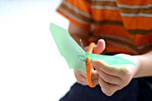 Cliqueu la imatge per veure més fotos