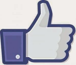 Cliqueu la imatge per veure les fotos