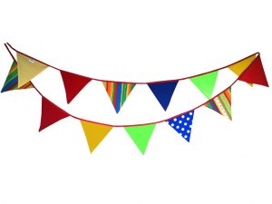 Bunting-Brights-Debby-1024x768