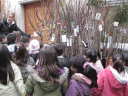 fira1.gif