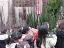 fira2.gif