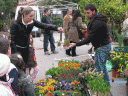 fira3.gif
