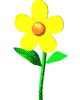 91-floww2