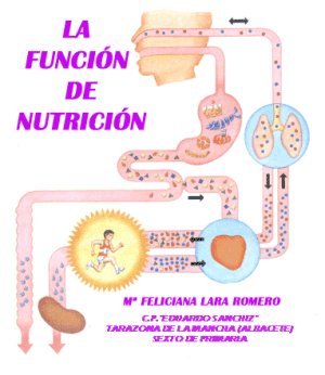 funutri