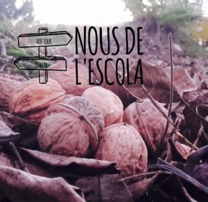 Fotografia: Elaboració pròpia. Lletres amb Typorama.