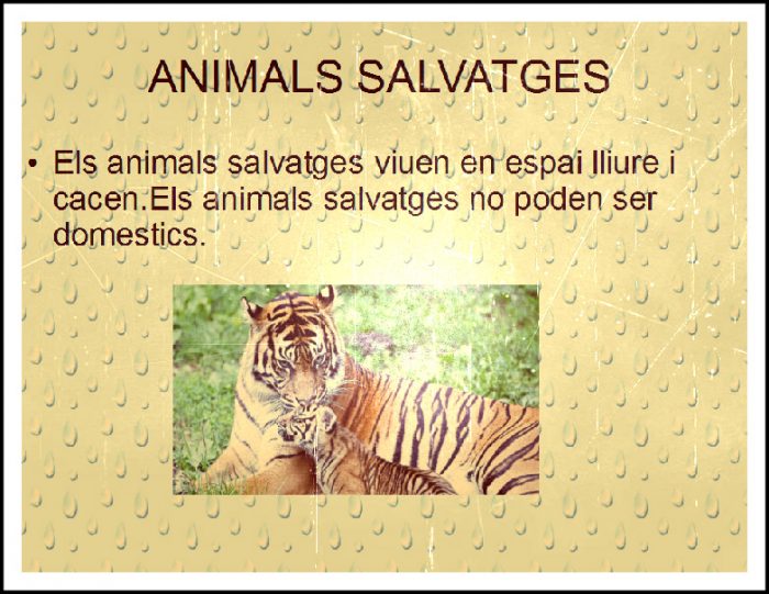 animals salvatges