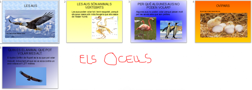 ocells