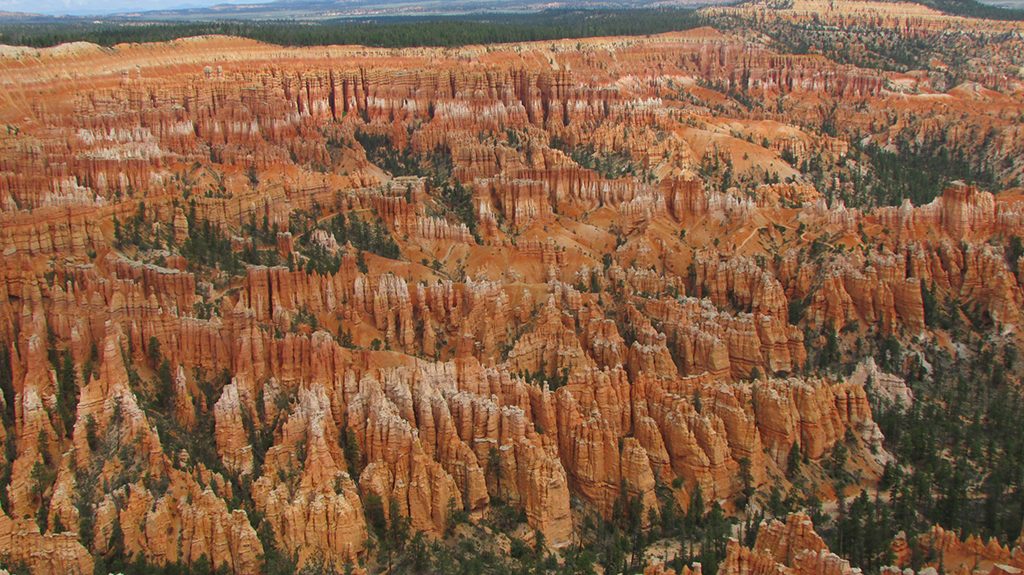 20130728 Bryce Canyon National Park (347) Bryce Point
