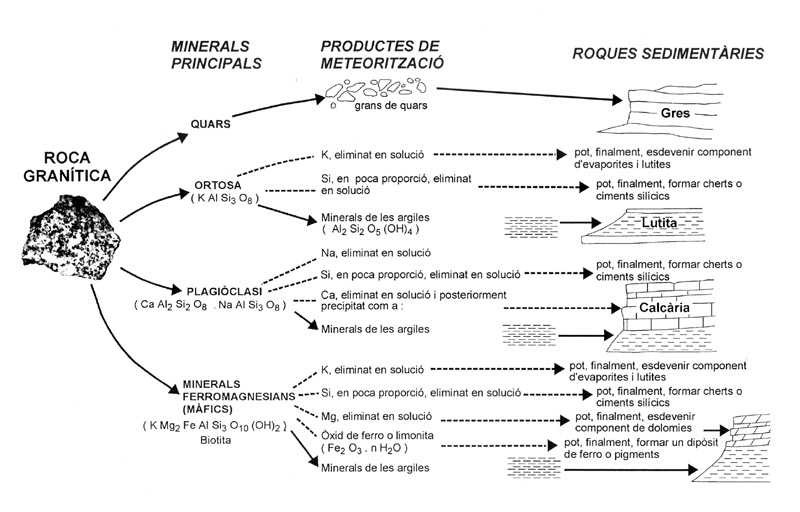 fig04