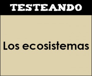 5c49e783-5664-48b9-8d51-c8f7ae2817be
