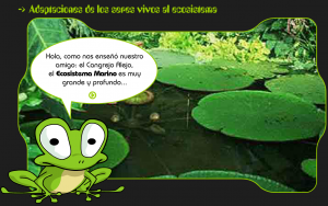 ADAPTACIONES_DE_LOS_SERES_VIVOS_AL_ECOSISTEMA_002