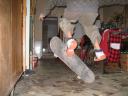 Pau skate 2