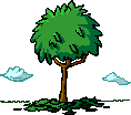 Tardor