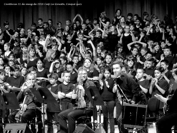 IMG_2951bn grup