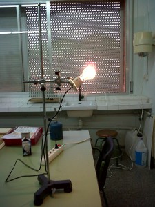 img00011-20110504-1140
