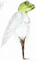 Airet