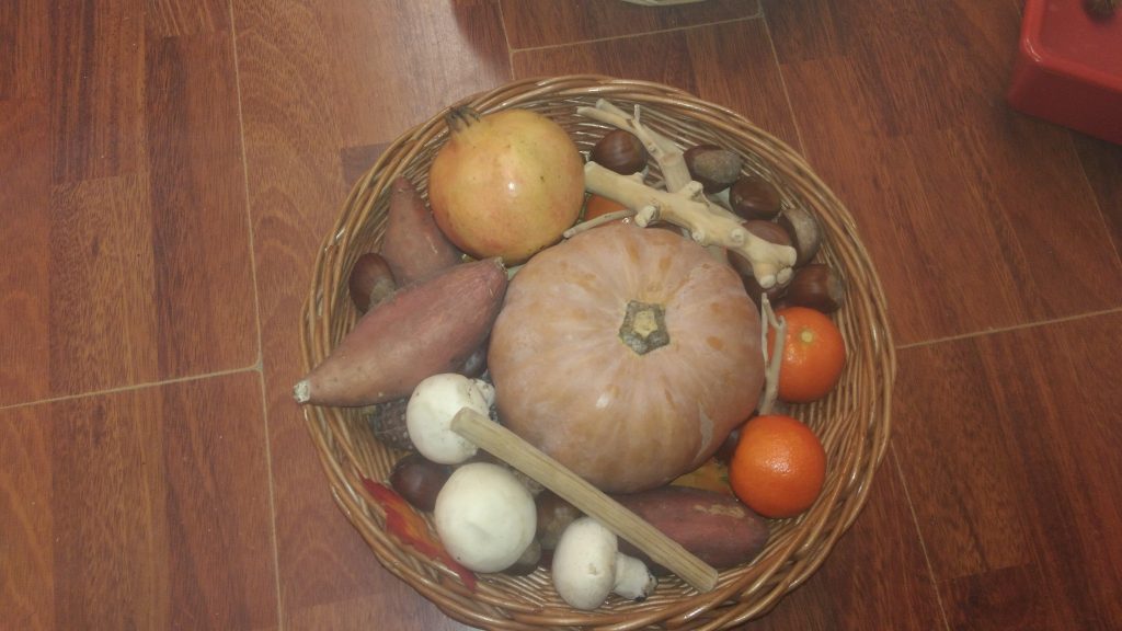 elements de la tardor (12)