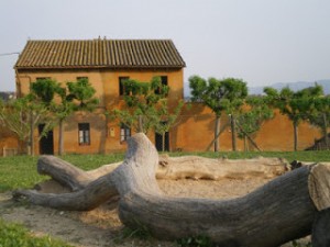 palaudaries