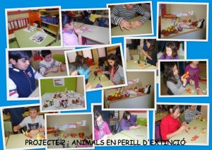 PROJECTE 2_980x693