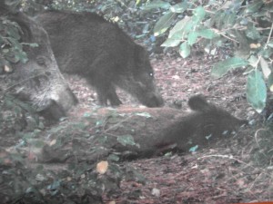 premi triat pels petits de l'escola. POL
