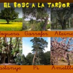 bosc