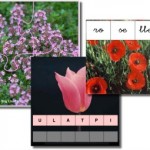 flors