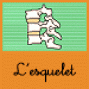 esquelet1.gif