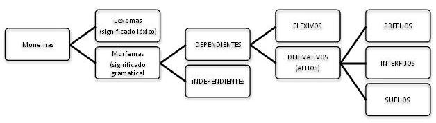 clasifmonemas