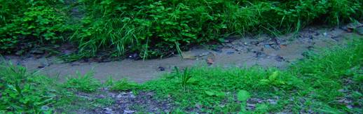 clip_image002