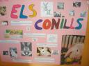 conills.jpg