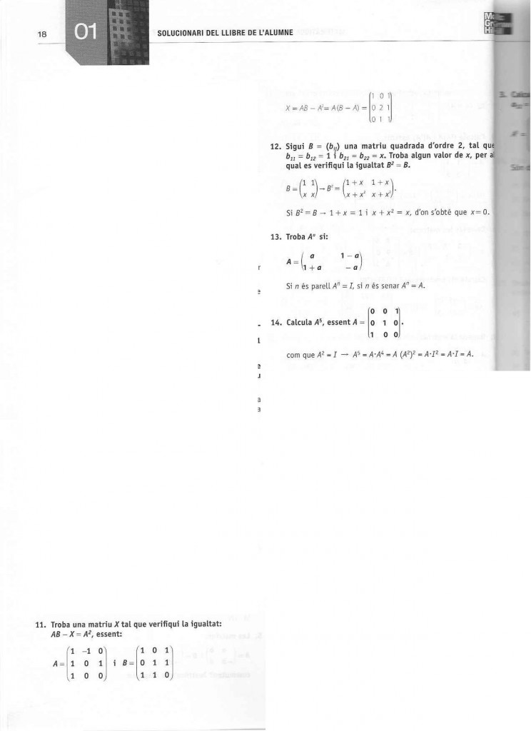 activitats-finals-11-a-14